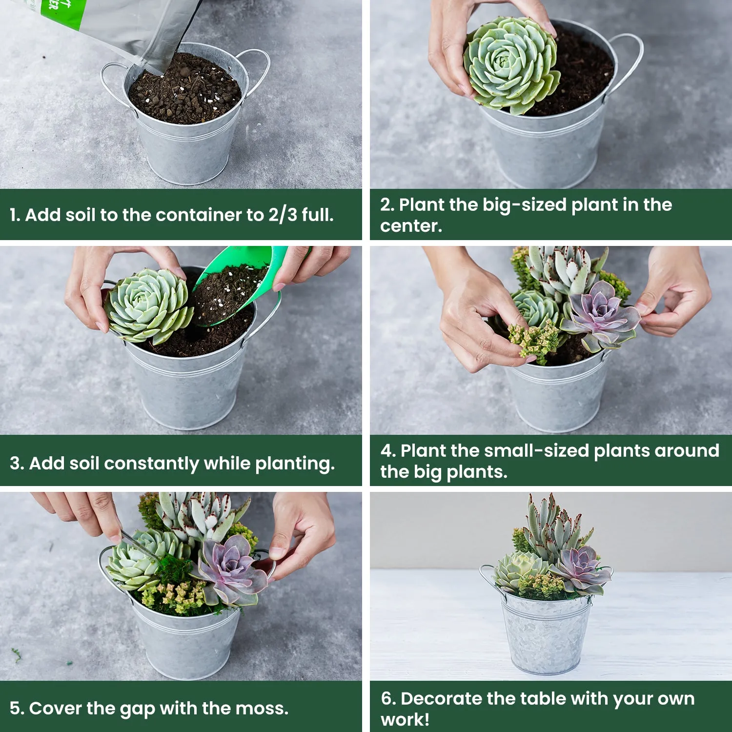 6" Succulent Centerpiece Table Decor