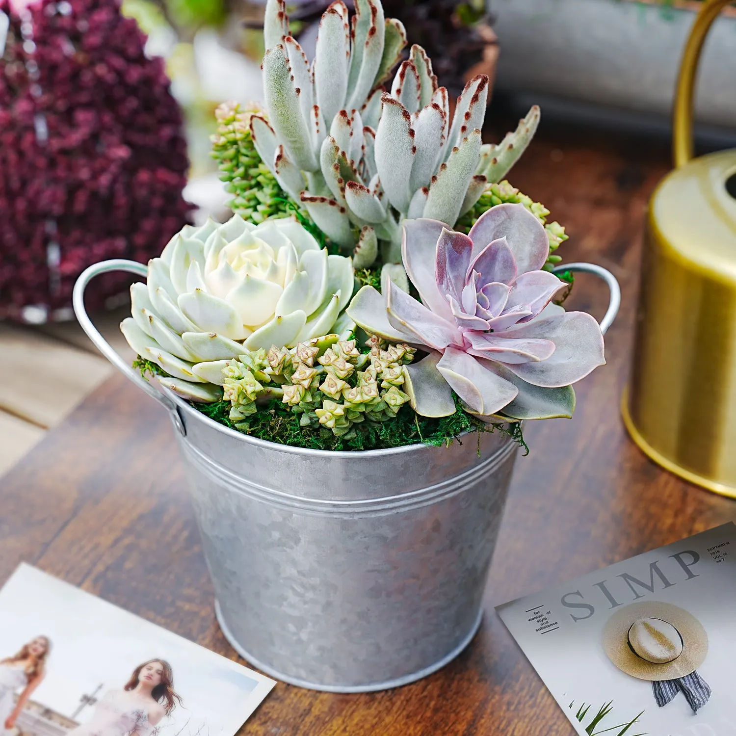 6" Succulent Centerpiece Table Decor