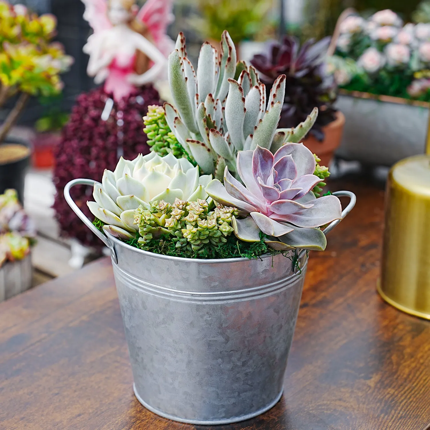 6" Succulent Centerpiece Table Decor