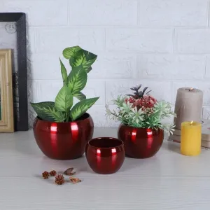 Applo Pine Planter (Red) - Set Of Three