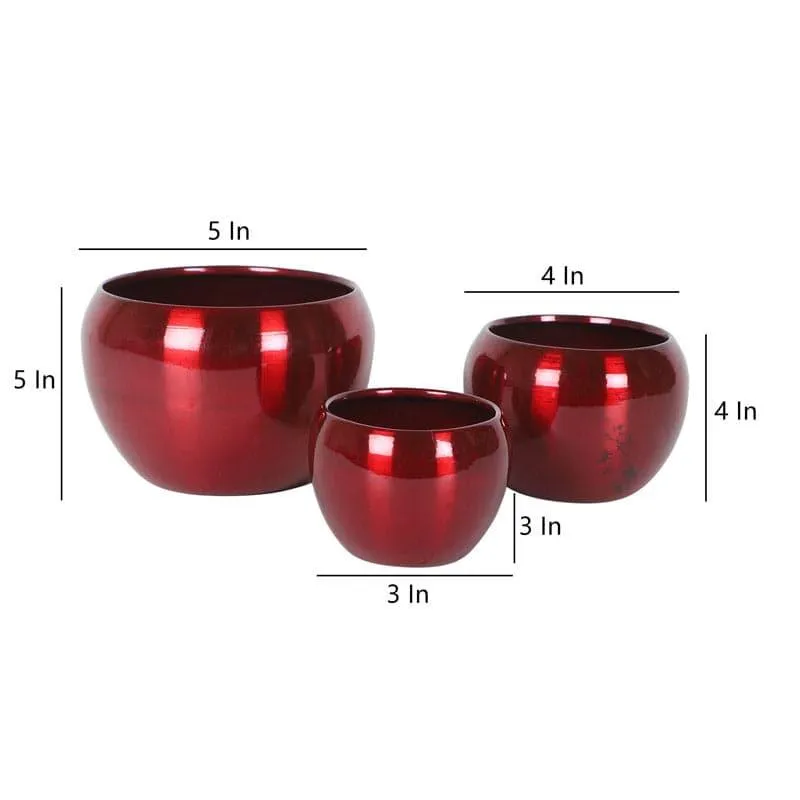 Applo Pine Planter (Red) - Set Of Three