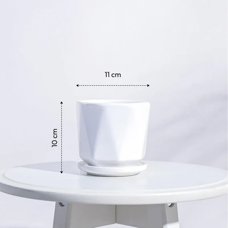 Diamond Ceramic White Pot | White | Plant Not Included