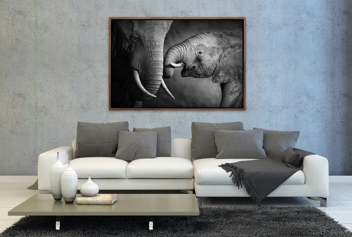 Elephant Touch | Canvas Wall Art Print