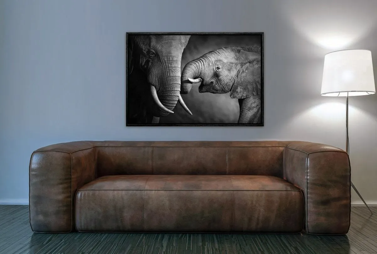 Elephant Touch | Canvas Wall Art Print