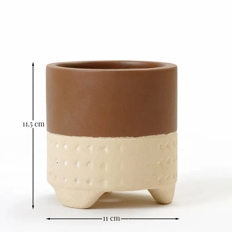 Gardenia Planter | Plant Not Included