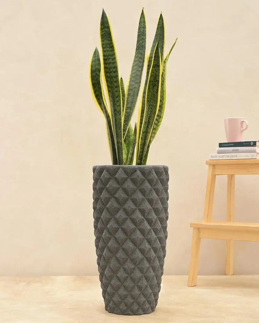 High Grey Diamond Plastic Planter | Plant Not Included