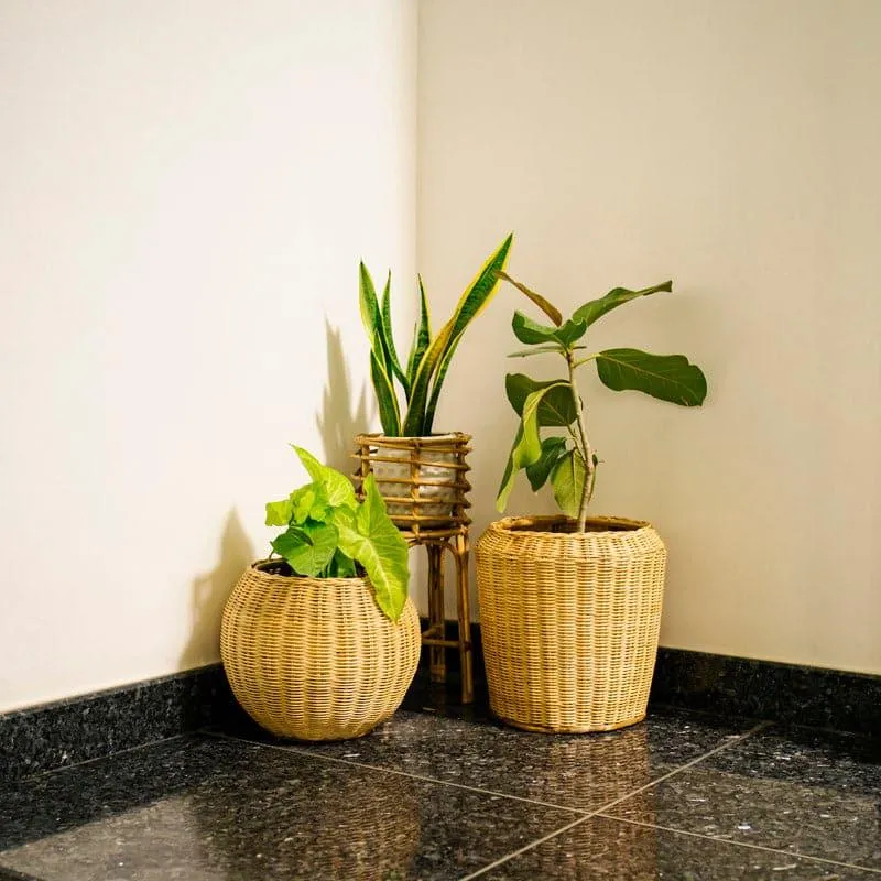 Mackenzie Natural Fibre Planter