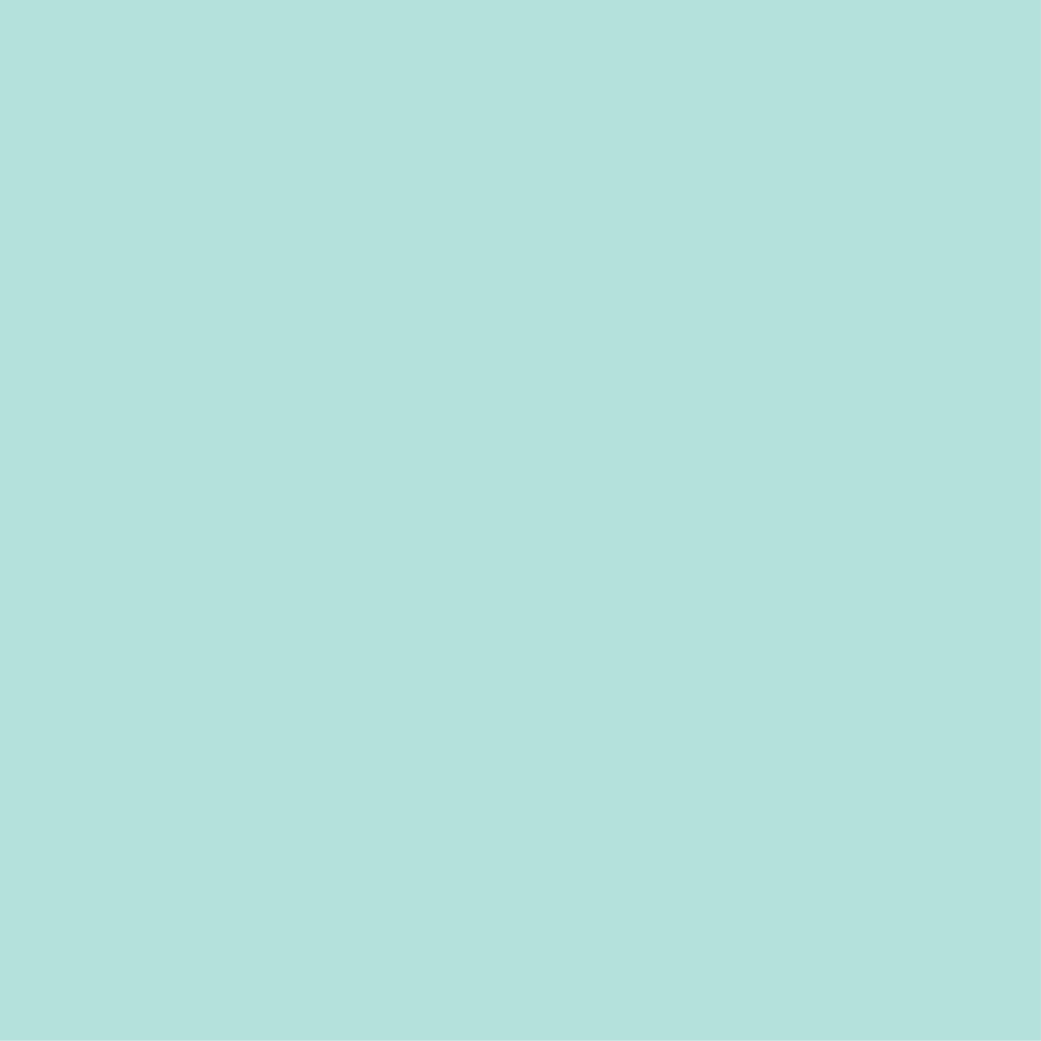 Mint Classic Small Plates (10 per pack)