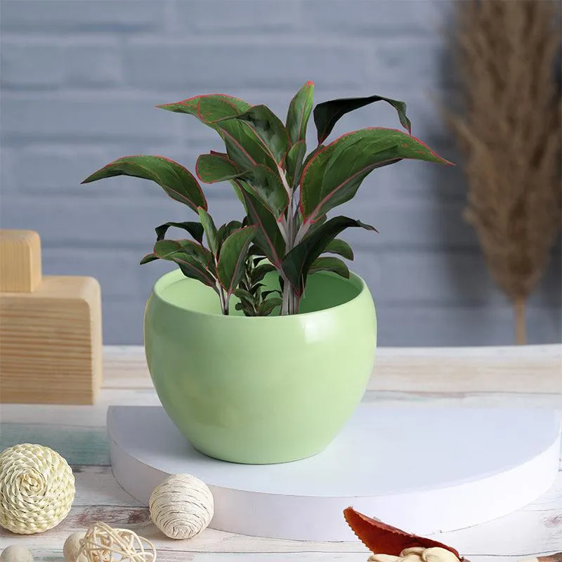 Nectera Metal Planter (Purple/Pink/Green) - Set Of Three