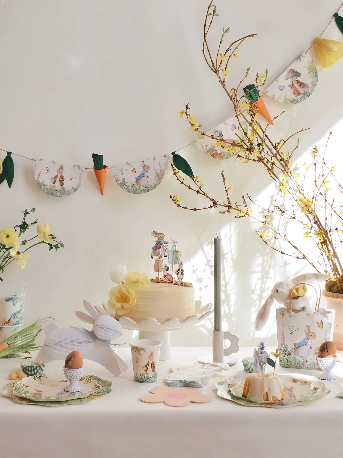 Peter Rabbit Dinner Plates