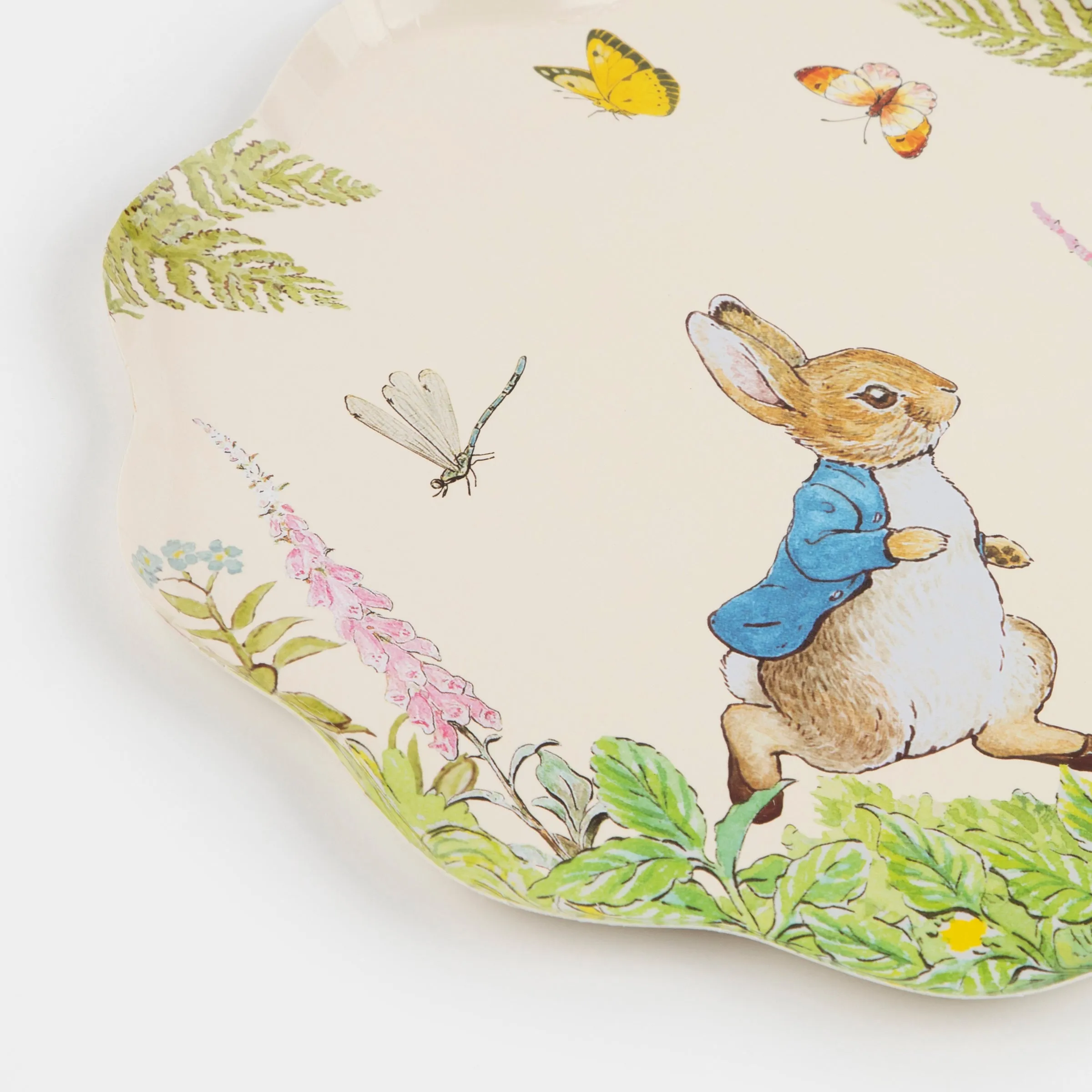 Peter Rabbit™ In The Garden Dinner Plates (x 8)
