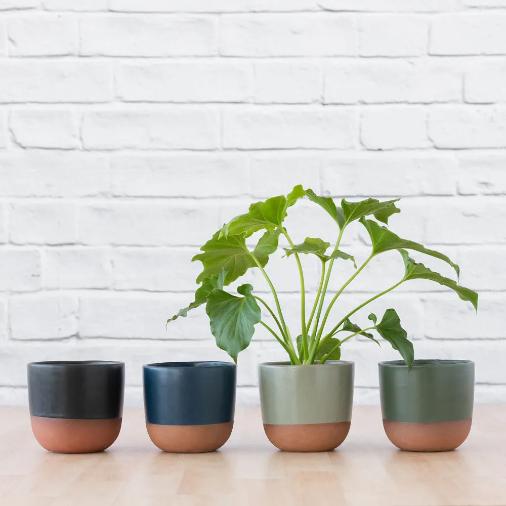 Pluto Planter - Charcoal