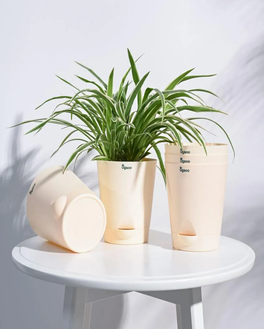Posh Self-Watering Plastic Pots | Set of 5 | 6 inch