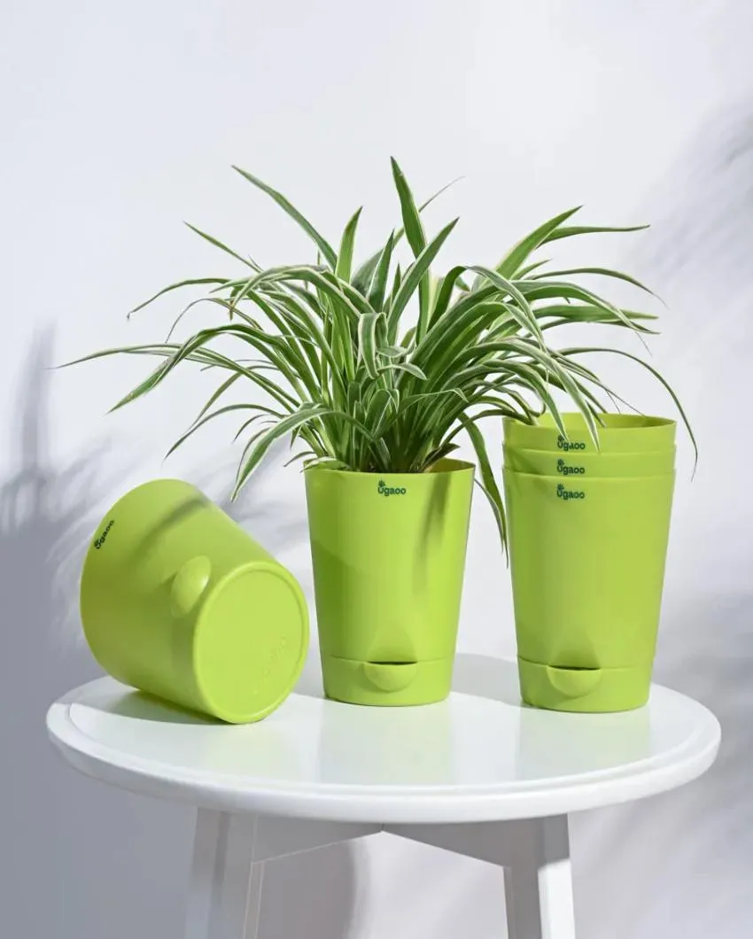 Posh Self-Watering Plastic Pots | Set of 5 | 6 inch