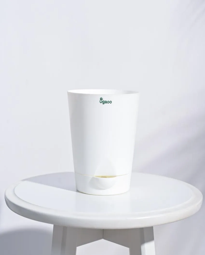 Posh Self-Watering Plastic Pots | Set of 5 | 6 inch