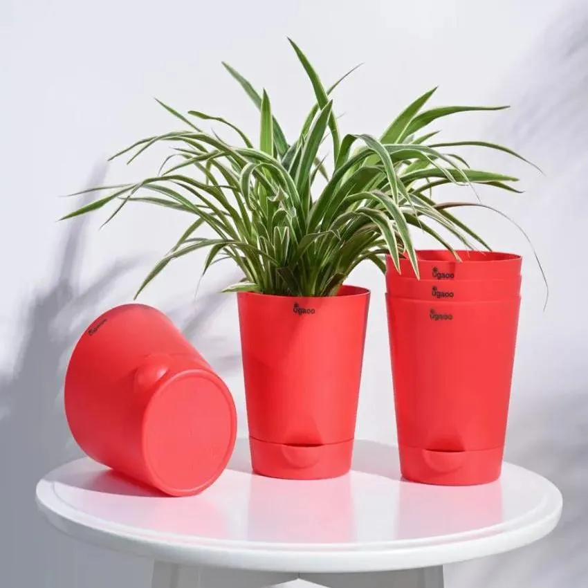 Posh Self-Watering Plastic Pots | Set of 5 | 6 inch
