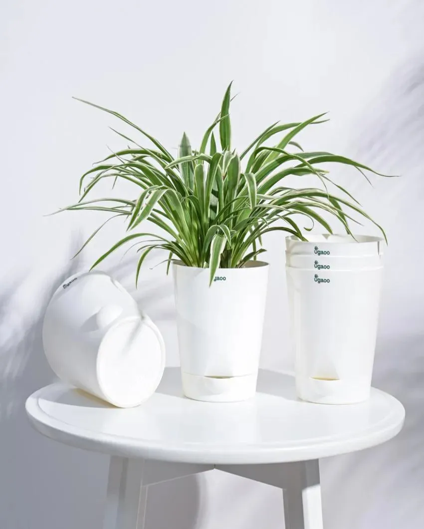 Posh Self-Watering Plastic Pots | Set of 5 | 6 inch