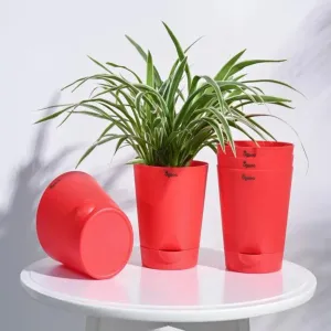 Posh Self-Watering Plastic Pots | Set of 5 | 6 inch