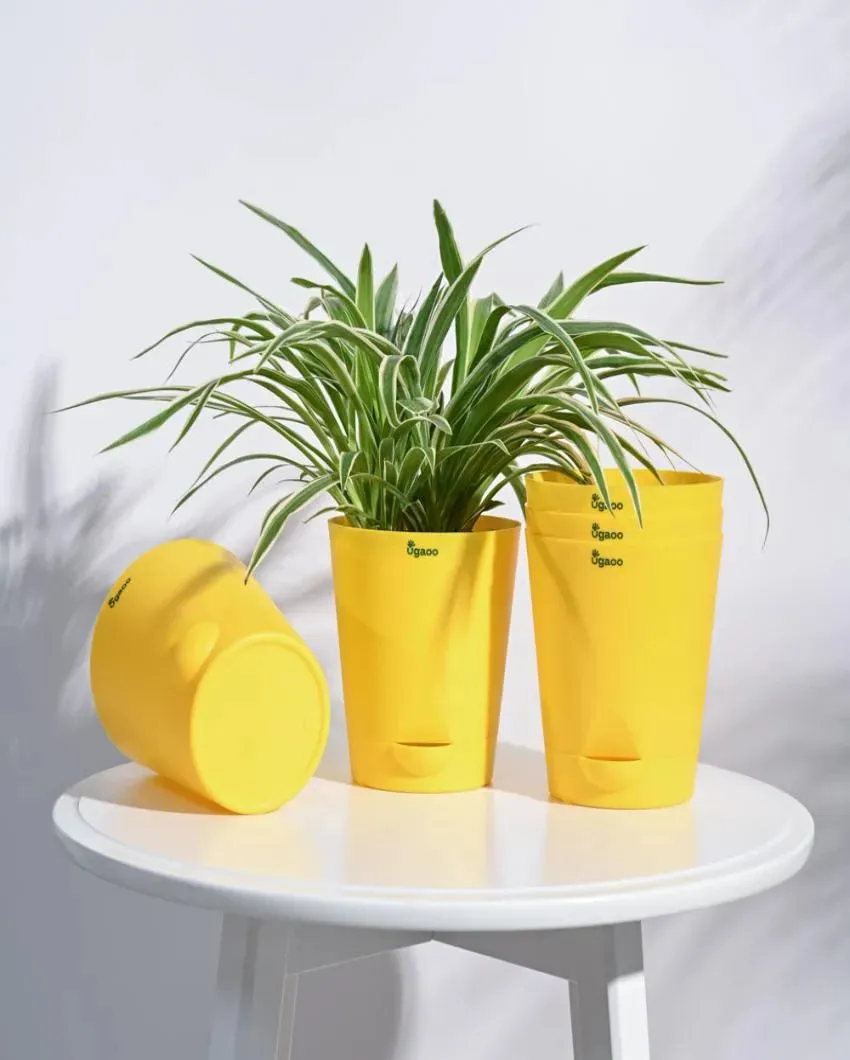 Posh Self-Watering Plastic Pots | Set of 5 | 6 inch