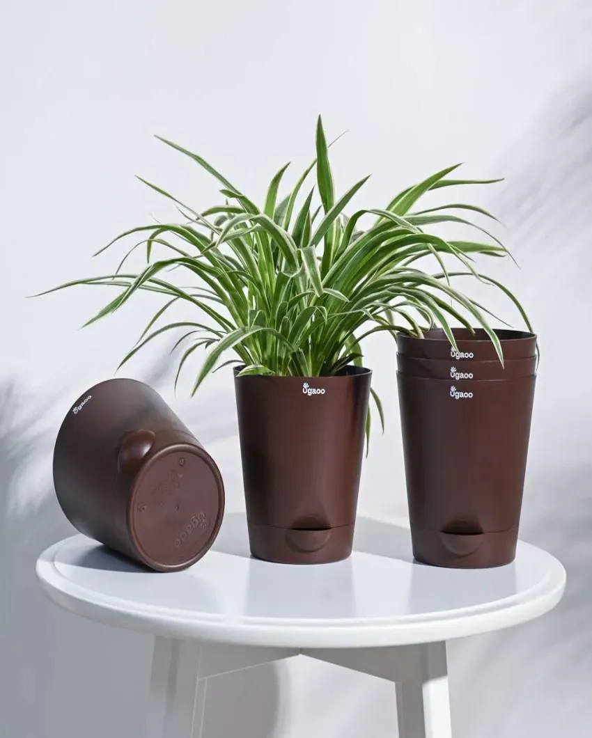 Posh Self-Watering Plastic Pots | Set of 5 | 6 inch