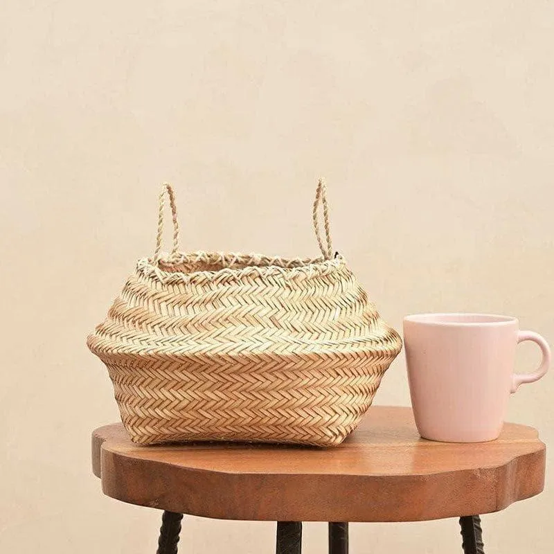 Ugaoo Sitalpati Planter - 25 CM