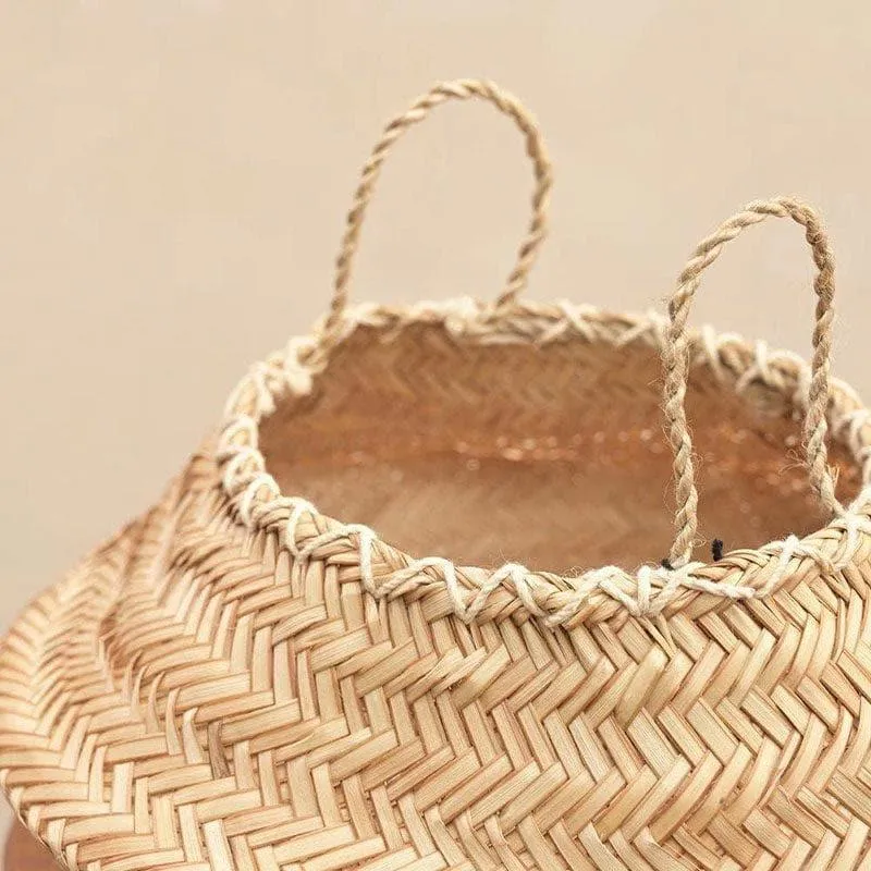 Ugaoo Sitalpati Planter - 25 CM
